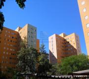 Apartamento para Venda, em Ribeirão Preto, bairro Jardim Palma Travassos, 2 dormitórios, 1 banheiro, 1 vaga